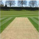 Cricket Square Eco Grass Seed Mix additional 1