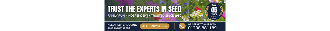 wildflower seed