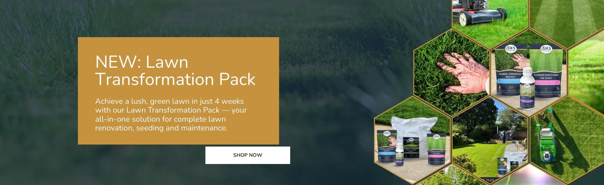 Lawn Transformation Pack