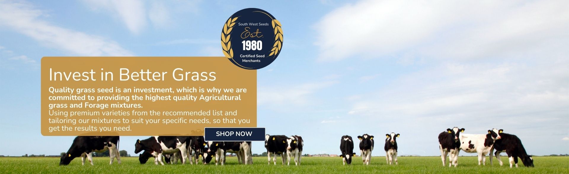 Agricultural Grass Seed