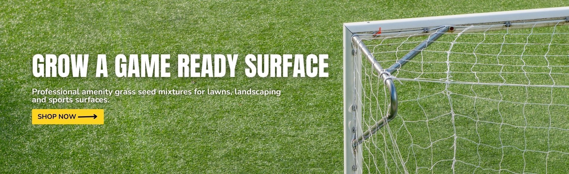 Amenity Grass Seed