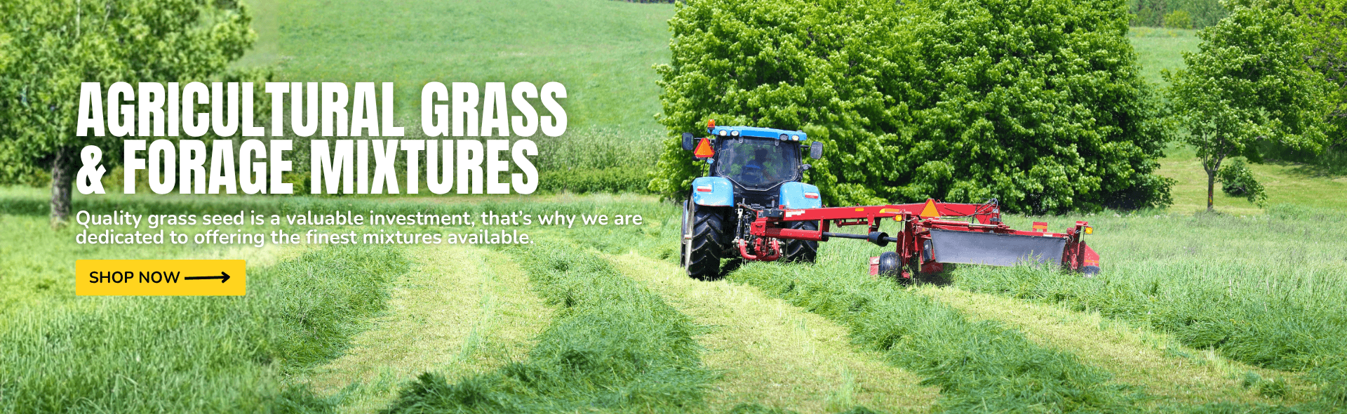 Agricultural Grass Seed