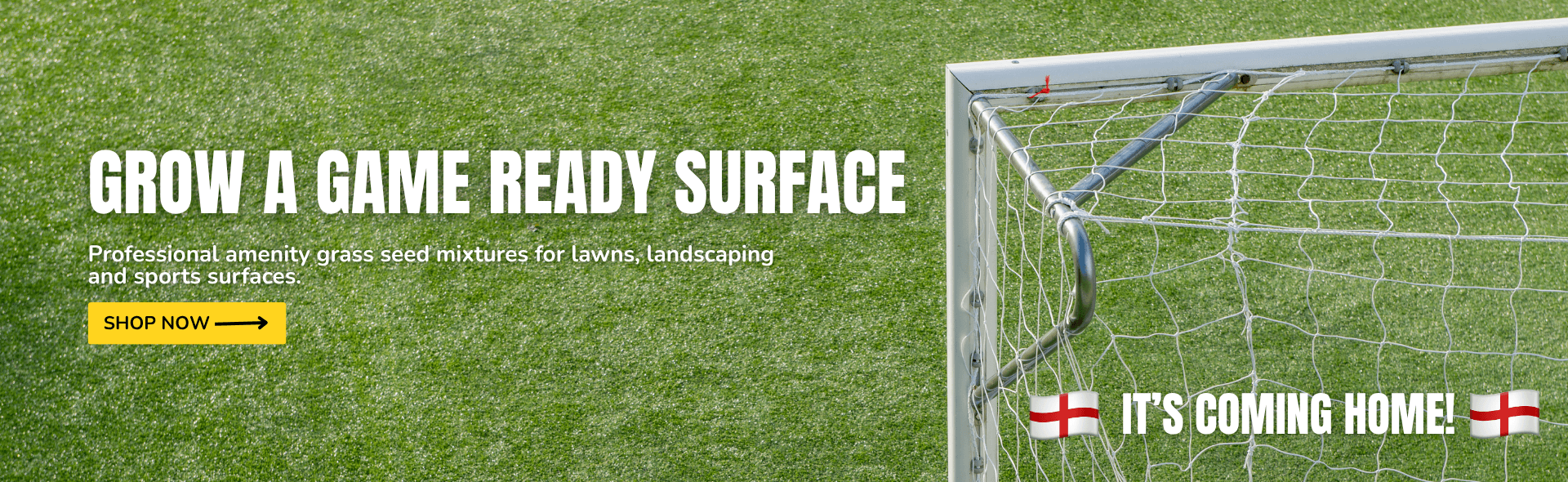 Amenity Grass Seed