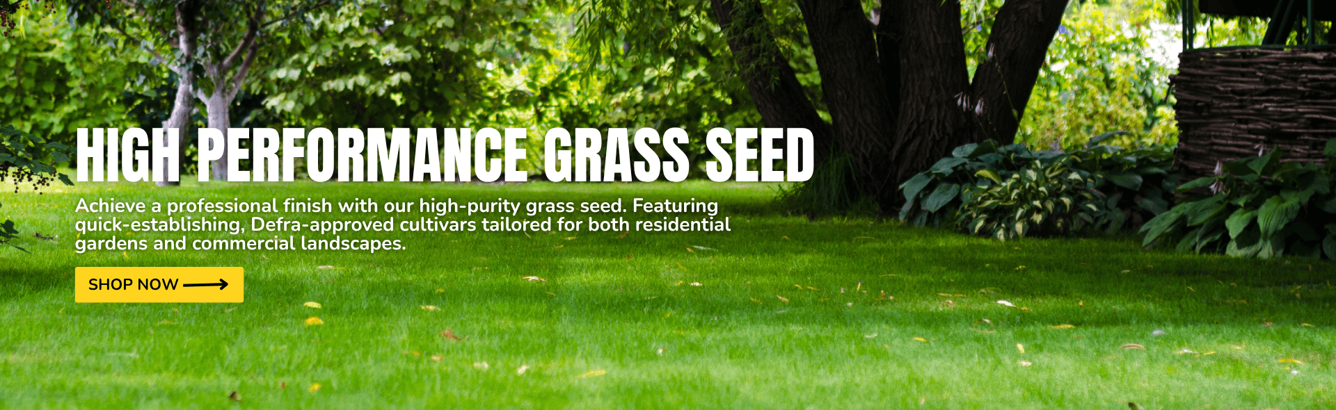 Lawn seed
