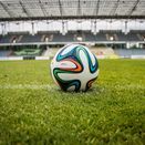 Cool Start 100 Grass Seed Mix additional 3