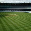 Cricket Outfield Grass Seed Mix additional 1