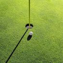 One Putt Greens Mix additional 1