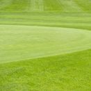 Fairway Finder Resilient additional 1