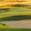 Fairway Rough Grass Seed Mix additional 3