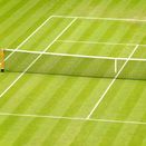 Straight Sets Grass Seed Mix additional 1