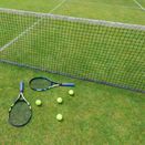 Long Rally Grass Seed Mix additional 1