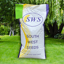 EasyGreen Lawn | Fast Germination, High Wear &amp; Cost-Effective Grass Seed Mix additional 2