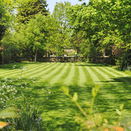 ShadeGreen Lawn | Shade-Tolerant &amp; Drought-Resistant Grass Seed Mix additional 1
