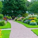 General Landscaping Grass Seed Mix additional 3