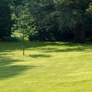 Shade Grass Seed Mix additional 2