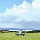 No Birdstrike Airport Grass Seed Mix additional 3