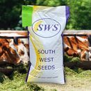 Drought Resilient Silage additional 2