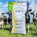 Drought Resilient Dual Purpose additional 2