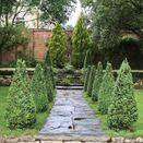 Tree &amp; Shrub  4-19-10+8%MgO Velscape Landscaping Granular Fertiliser additional 1