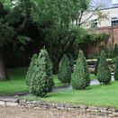 All Season controlled release - Velvit Velscape 15-5-10 30% Nutrilong V90 Granular additional 1