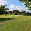 Country Park Grass Seed Mixture additional 1