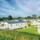 Caravan Park Premium Grass Mixture additional 1