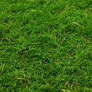 Moorland Habitats Mix additional 3