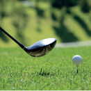 Ultimate Tees Grass Seed Mix additional 1