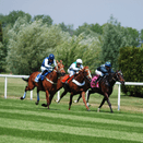 Eco Racecourse Grass Seed Mix additional 4