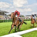 Eco Racecourse Grass Seed Mix additional 5