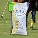 Polo Pitch Grass Seed Mix additional 2