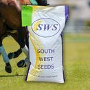 Premium Polo Renovation Grass Seed Mix additional 2