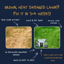Premium Lawn Rejuvenation Pack (100m²) | All-in-One Grass Seed &amp; Autumn Fertiliser Kit additional 4