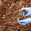 Broad Spectrum Extra Soil Test additional 3