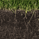 Broad Spectrum Extra Soil Test additional 2