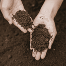 Broad Spectrum Soil Health Test additional 2