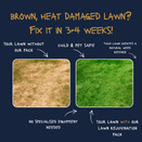 Fast Recovery Lawn Pack for 50m² | Repair Drought Damaged Lawn additional 3