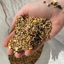 Garden Bird Feed | High Energy Wild Bird Mix additional 1