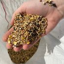 Garden Bird Feed additional 4