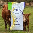 Youngstock Graze additional 2