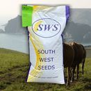 Headland Graze additional 2