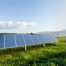 Solar Panel Graze additional 1