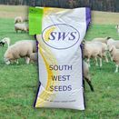 Damp Ground Graze additional 2