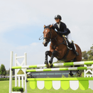 Point to Point Grass Mix additional 4