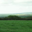 Damp Ground Silage additional 3