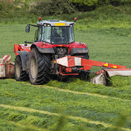 High Protein Silage Cutter additional 3