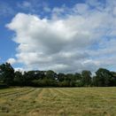 Standard Hay/Haylage additional 3