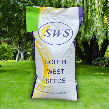 EasyGreen Lawn | Fast Germination, High Wear Recovery &amp; Cost-Effective Grass Seed Mix alternative
