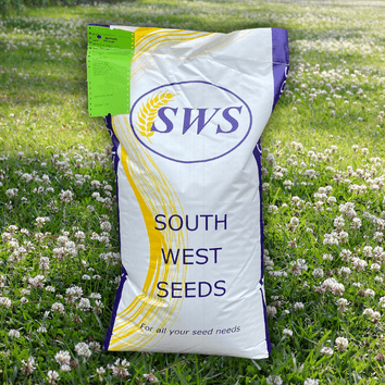 Drought Resilient Dual Purpose with White Clover alternative