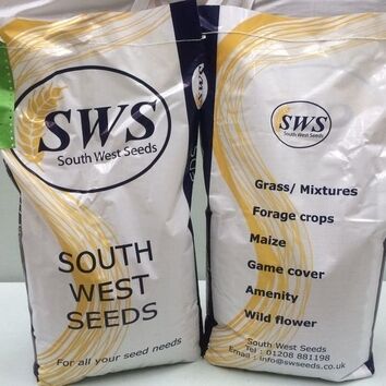 Westerwold Grass Seed